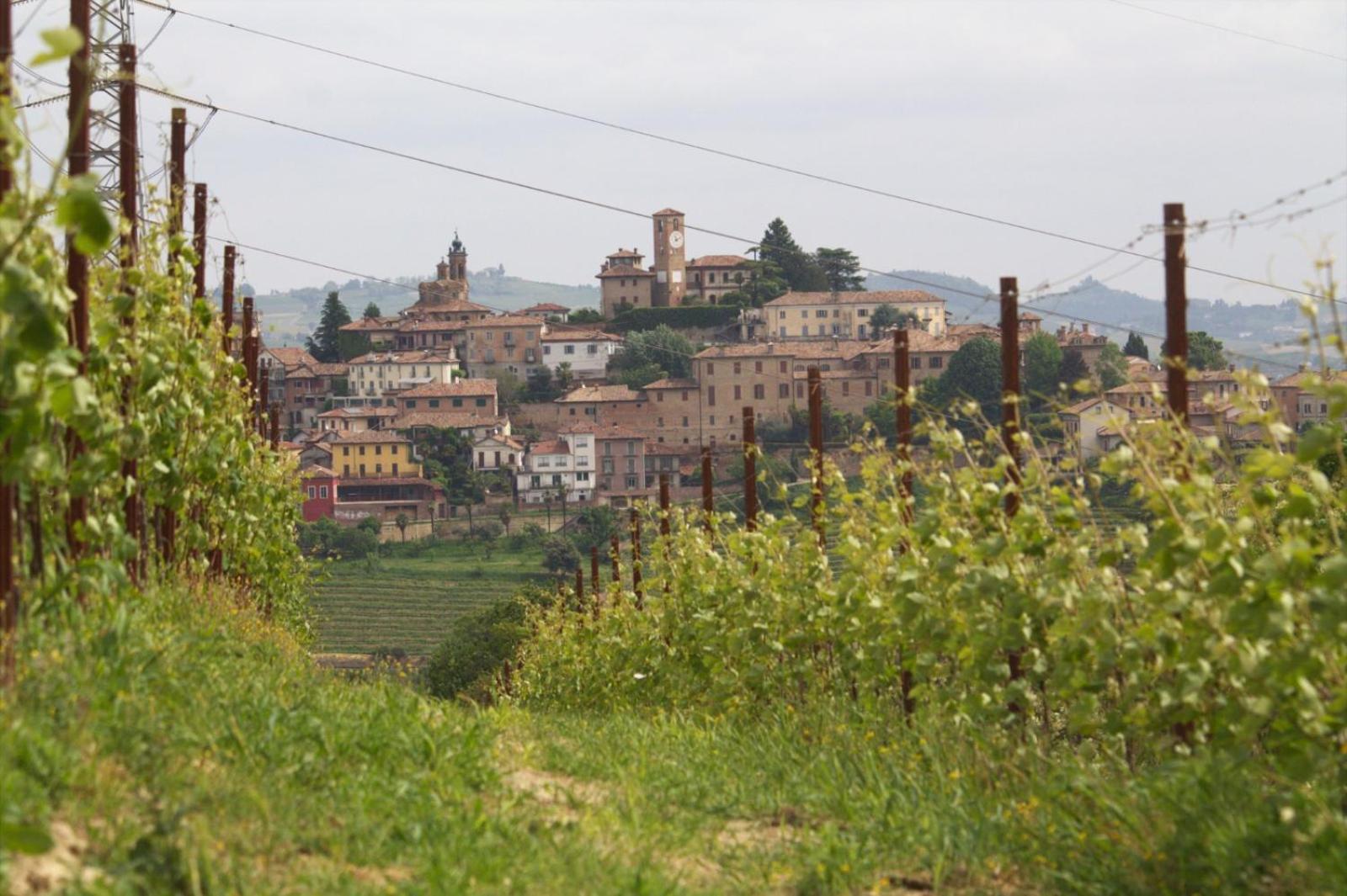 I Quattro Grappoli Bed and Breakfast Neive Buitenkant foto